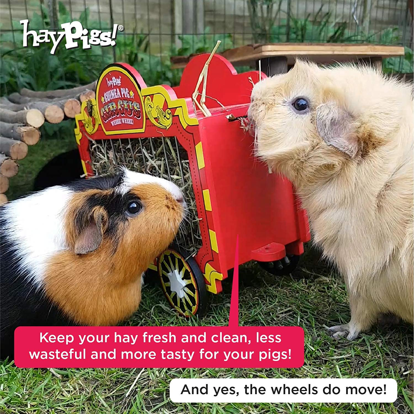 HAYPIGS Guinea Pig Toys and Accessories - Circus Themed Wheek Wagon Hay Hopper - Guinea Pig Hay Rack - Dwarf Rabbit Feeder - Hay Racks for Guinea Pigs - Hay Feeder - Chinchilla Hay Rack Animals & Pet Supplies > Pet Supplies > Small Animal Supplies > Small Animal Food HAYPIGS   