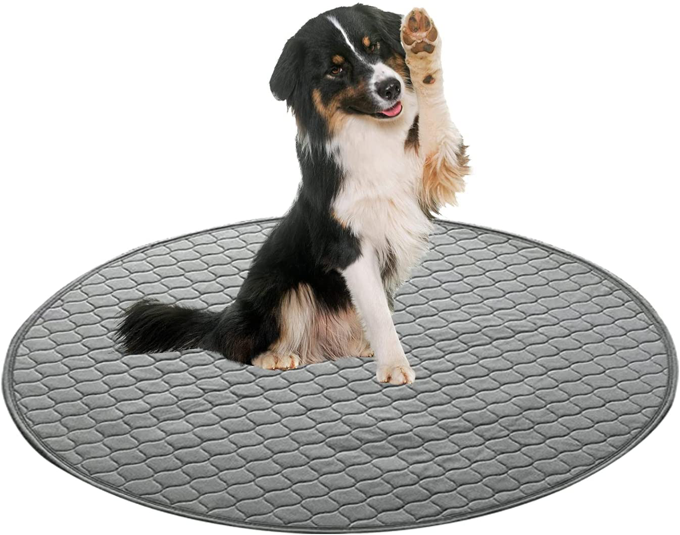 Hausure Waterproof Reusable Dog Pee Pads Super Absorbent Washable Dog Training Pads Whelping Pee Pads Animals & Pet Supplies > Pet Supplies > Cat Supplies > Cat Litter Box Mats Hausure   