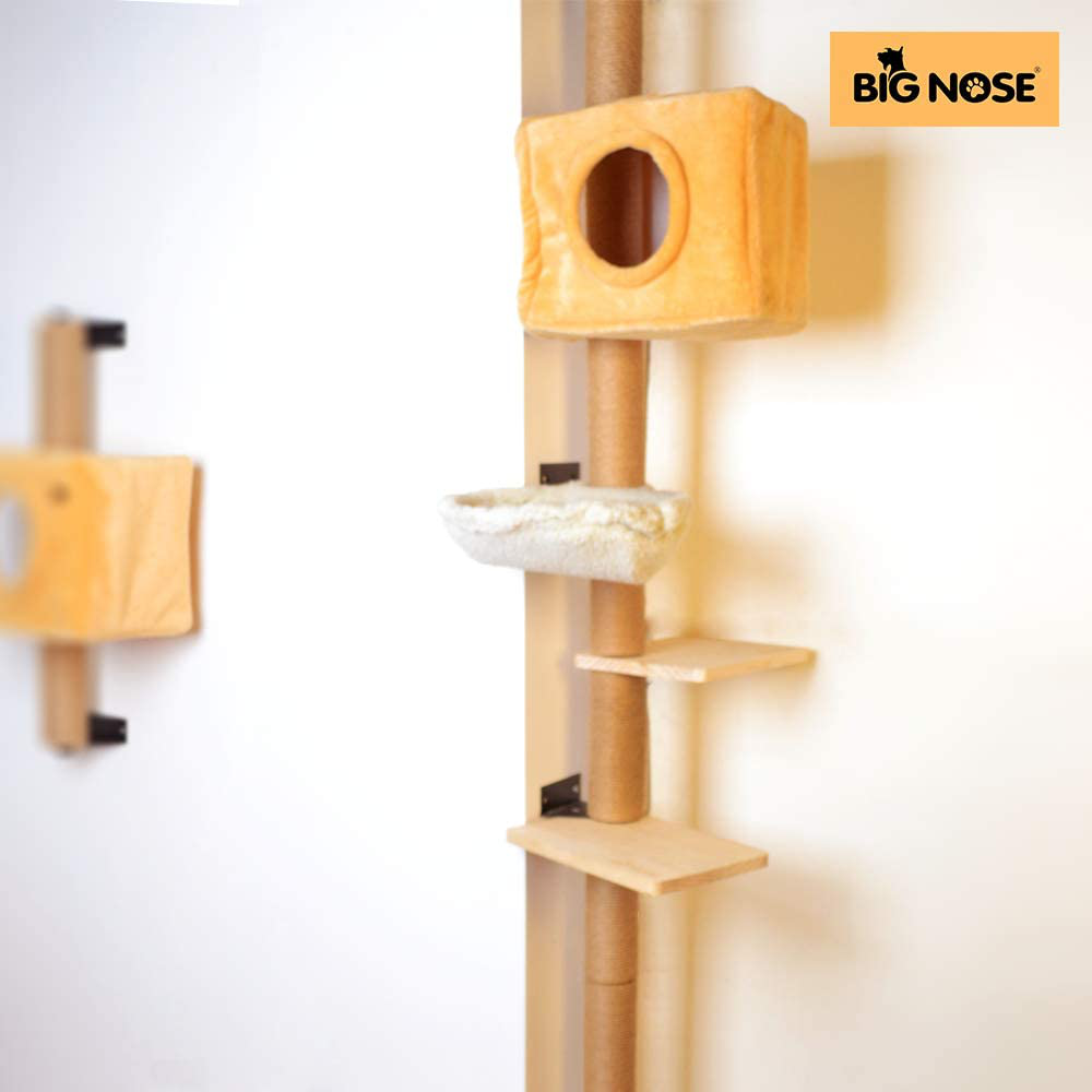 BIG NOSE- Wall Mounted Cat Condos Tree House Animals & Pet Supplies > Pet Supplies > Cat Supplies > Cat Furniture BIG NOSE   