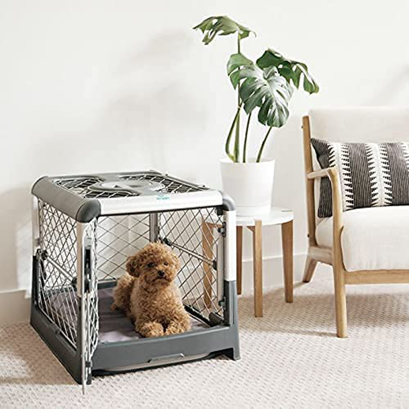 Diggs Revol Dog Crate (Collapsible Dog Crate, Portable Dog Crate, Travel Dog Crate, Dog Kennel) for Small and Medium Dogs and Puppies Animals & Pet Supplies > Pet Supplies > Dog Supplies > Dog Kennels & Runs Diggs   