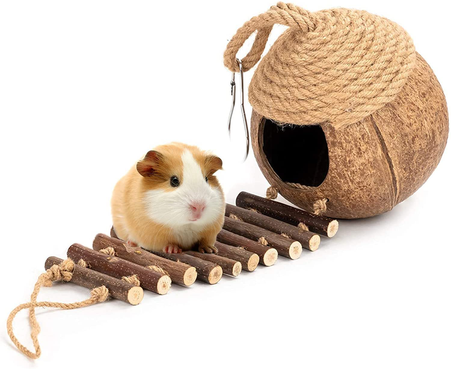 Keersi Natural Coconut Shell Bird Nest Hut Bed Toy for Pet Parrot Budgies Parakeet Cockatiels Conure Lovebird Canary Finch Hamster Rat Gerbil Mice Chinchilla Squirrel Cage Animals & Pet Supplies > Pet Supplies > Small Animal Supplies > Small Animal Habitats & Cages Keersi   