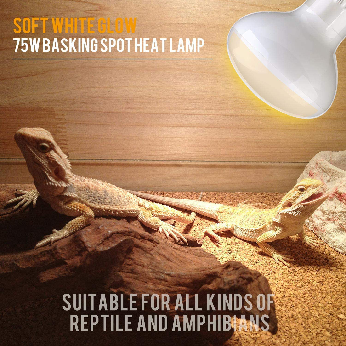 Aomryom 75W 2 Pack UVA Basking Spot Lamp Soft White Light Glass Heat Bulb for Reptiles & Amphibians Animals & Pet Supplies > Pet Supplies > Reptile & Amphibian Supplies > Reptile & Amphibian Habitat Heating & Lighting AOMRYOM   