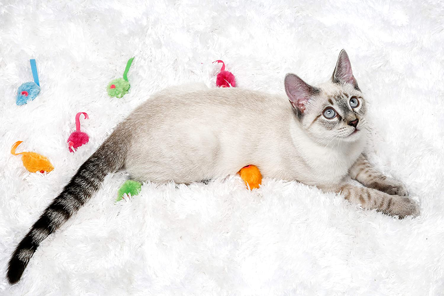 Hartz Cattraction Cat Toys with Silver Vine and Catnip for Livelier Play for Cats and Kittens, Multiple Styles Animals & Pet Supplies > Pet Supplies > Cat Supplies > Cat Toys Hartz   