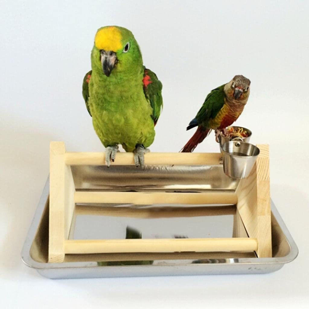 Homozy Wooden Play Stand Perch Gym Parrot Bird Animals & Pet Supplies > Pet Supplies > Bird Supplies > Bird Gyms & Playstands homozy   