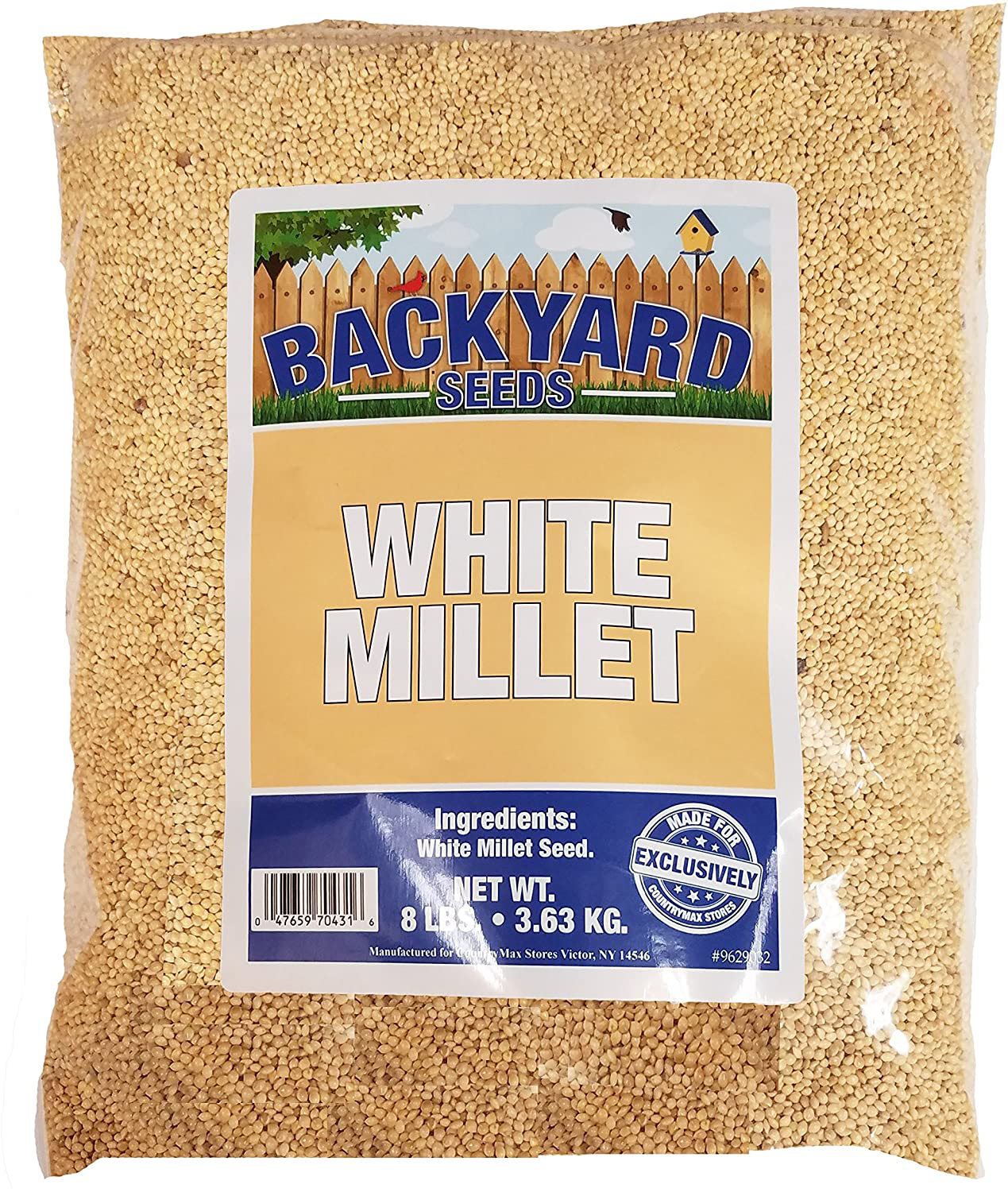 Backyard Seeds White Millet Bird Seed for Finches 8 Pounds Animals & Pet Supplies > Pet Supplies > Bird Supplies > Bird Food CountryMax 8 Pound (Pack of 1)  