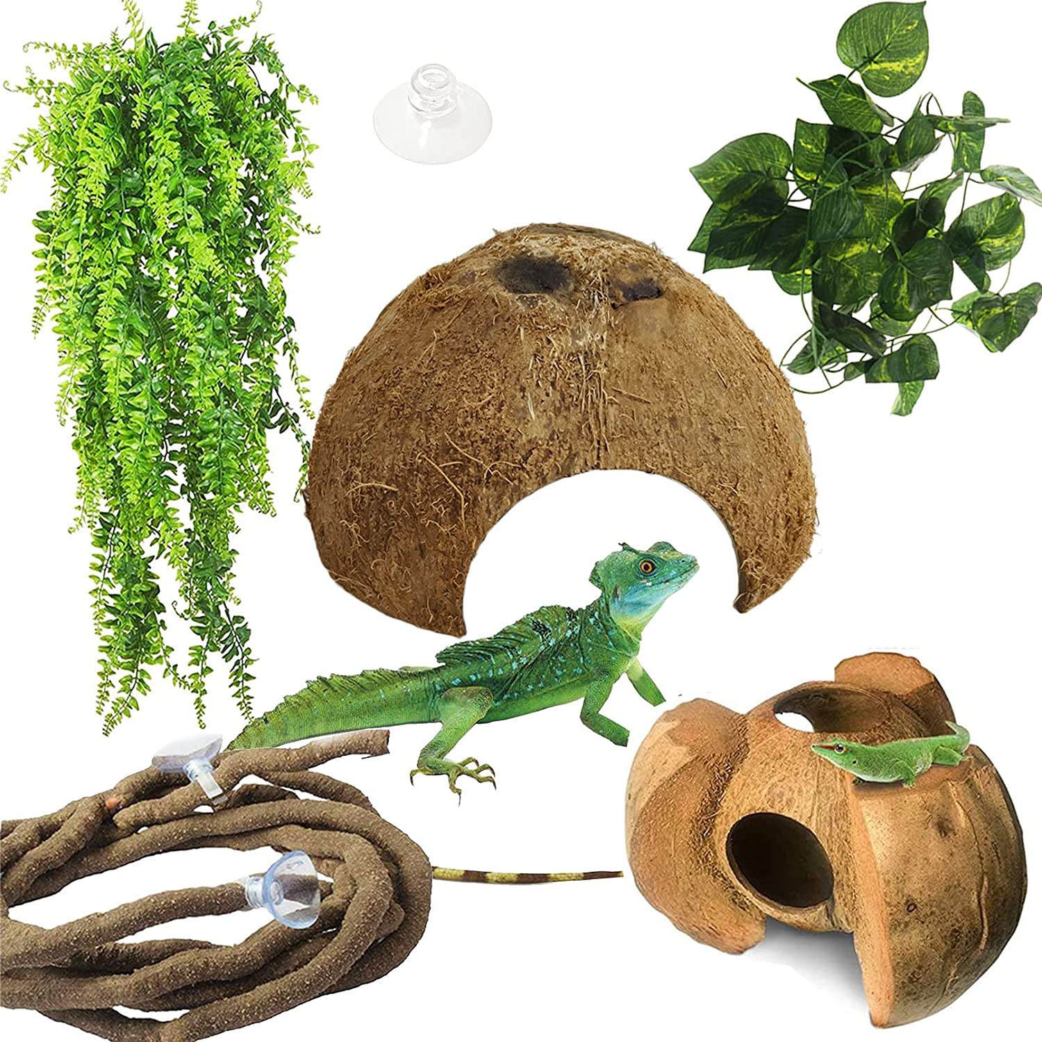 Hamiledyi Reptile Coconut Shell Hideout 5 Pack Lizard Coco Hut Durable Cave Habitat Jungle Climber Vines Flexible Plants Gecko Tank Accessories Decor for Chameleons Spiders Snakes Climbing Toys Animals & Pet Supplies > Pet Supplies > Reptile & Amphibian Supplies > Reptile & Amphibian Habitat Accessories Hamiledyi   