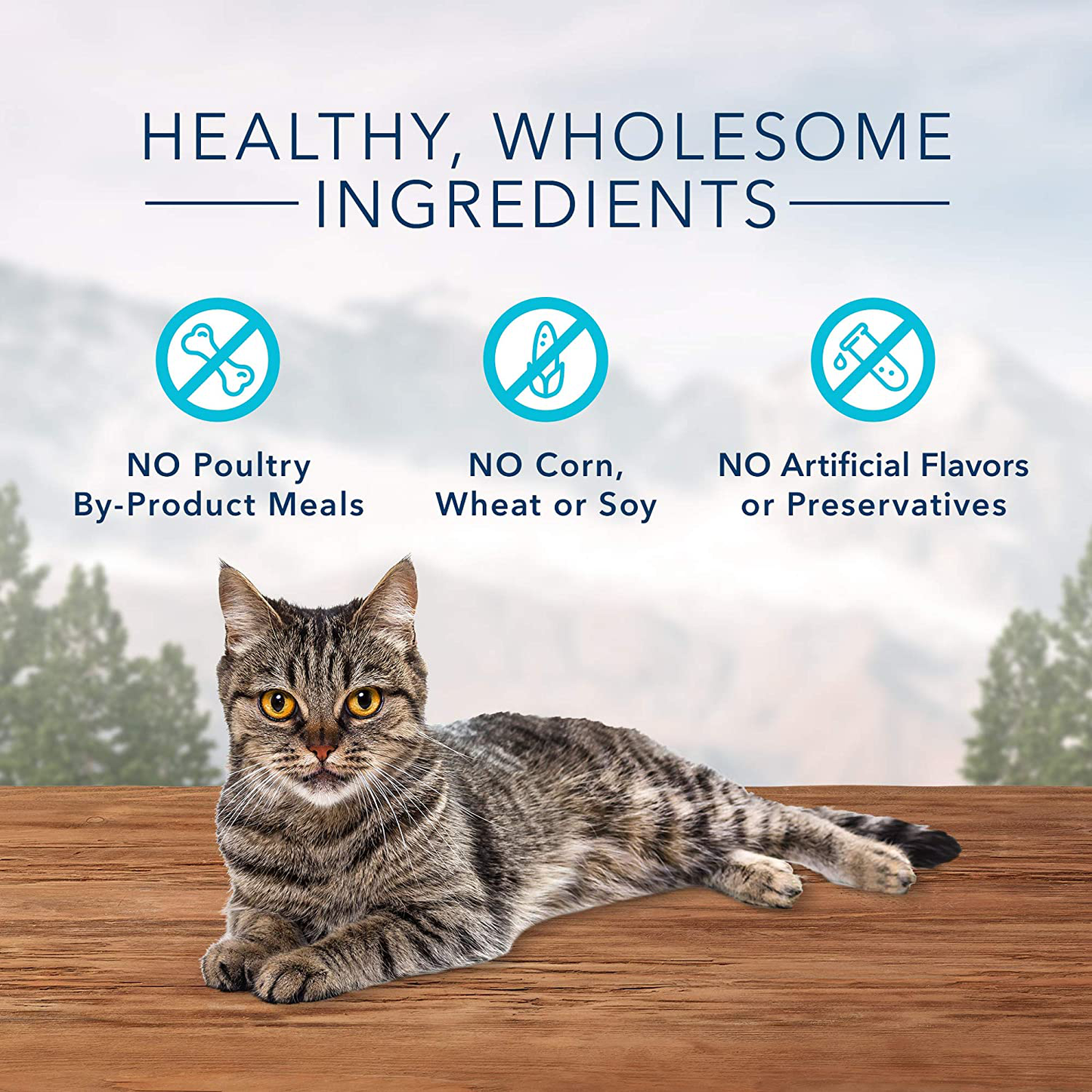 Blue Buffalo Wilderness Grain Free Soft-Moist Cat Treats Animals & Pet Supplies > Pet Supplies > Cat Supplies > Cat Treats Blue Buffalo   