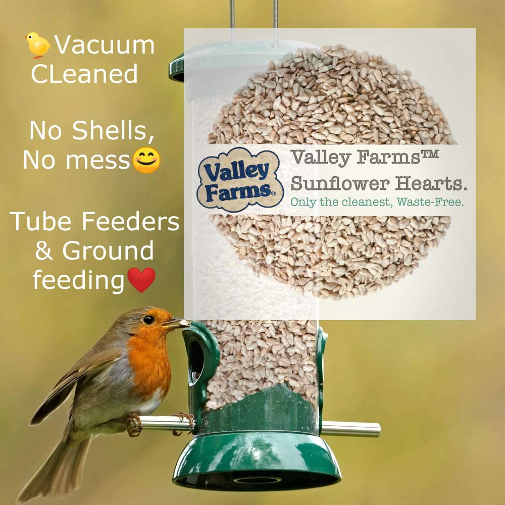 Valley Farms Sunflower Hearts Super Clean No Mess No Waste Bird Seed 40 LBS Animals & Pet Supplies > Pet Supplies > Bird Supplies > Bird Food Valley Farms   