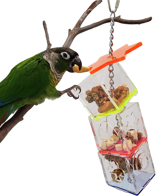 Tropical Chickens Parrot Bird Boredom Buster Forage Box Creative Hanging Treat Foraging Toy Conure Cockatiel for Small Bird Enrichment Transparent Acrylic Food Holder Animals & Pet Supplies > Pet Supplies > Bird Supplies > Bird Toys Tropical Chickens   