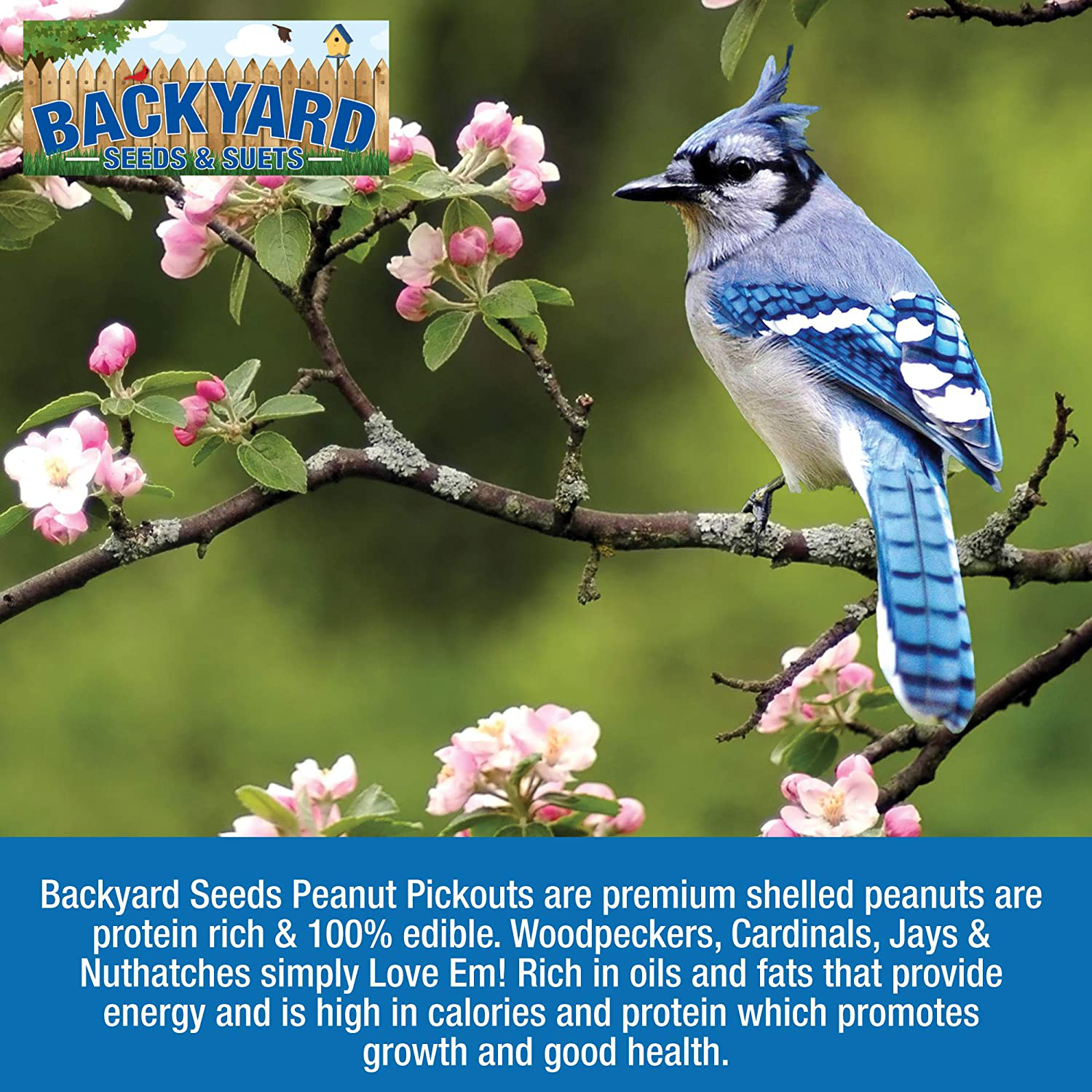 Backyard Seeds Shelled Peanut Pickouts Animals & Pet Supplies > Pet Supplies > Bird Supplies > Bird Food Backyard Seeds   