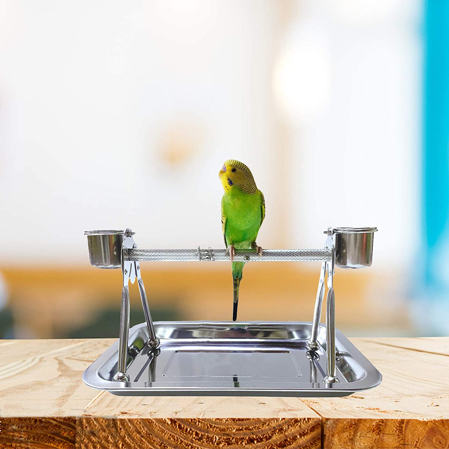 Tfwadmx Parrot Playstand,Stainless Steel Bird Playgound Play Gym Platform Table Top Perch with Feeding Cups Tray for Conure Parakeet Lovebird Cockatiel. Animals & Pet Supplies > Pet Supplies > Bird Supplies > Bird Gyms & Playstands Tfwadmx   