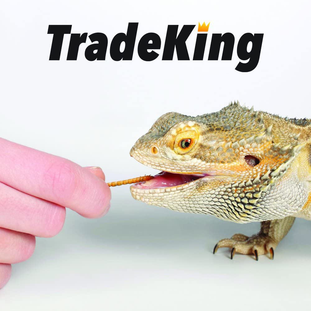 Tradeking 1 Lb Dried Mealworms - High Protein Treat for Wild Birds, Chicken, Fish & Reptiles Animals & Pet Supplies > Pet Supplies > Bird Supplies > Bird Treats TradeKing   