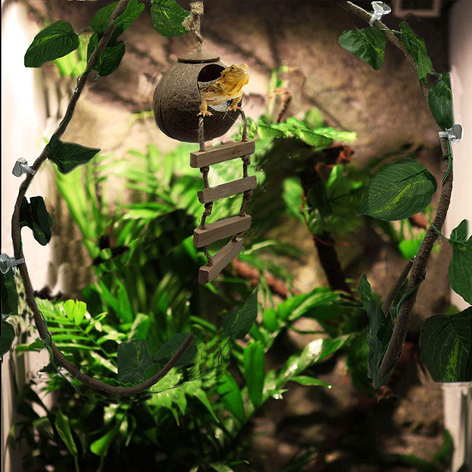 Tfwadmx Reptile Hide Coconut with Ladder,Natural Gecko Hanging Hideout Cave Hut Climbing Jungle Vine Flexible Reptile Leaves with Coconut Fiber for Turtle Beared Dragon Spider Lizard Frog Chameleon. Animals & Pet Supplies > Pet Supplies > Reptile & Amphibian Supplies > Reptile & Amphibian Habitat Accessories Tfwadmx   