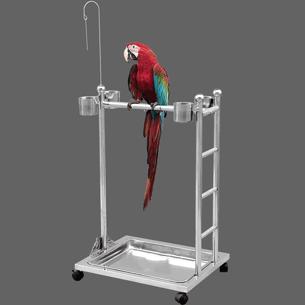 LEGU Birdcages Stainless Steel Parrot Play Gym Bird Playground Playstand,Bird Swing Conure Toys Table Play Stand with Food Box Tray-Silver Birdcage Decor Animals & Pet Supplies > Pet Supplies > Bird Supplies > Bird Gyms & Playstands LEGU   