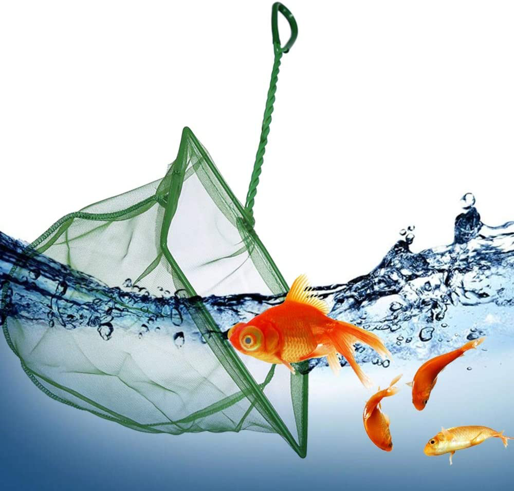 Laojbaba Green Fine Mesh Net Aquarium Fishing Net with Plastic Handle 6 Inch Animals & Pet Supplies > Pet Supplies > Fish Supplies > Aquarium Fish Nets Laojbaba   