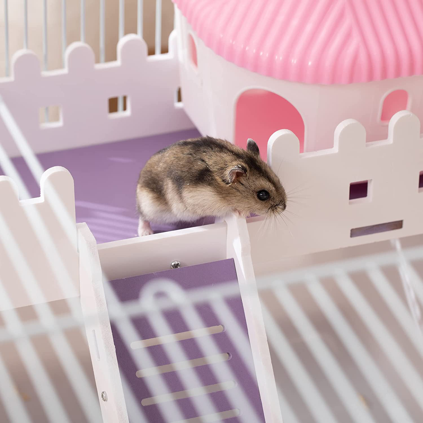 Pawhut 2 Tier Hamster Cage Gerbil Haven Multi-Storey Rodent House Small Animal Habitat with Water Bottle, Excise Wheel, Ladder, Hut, White Animals & Pet Supplies > Pet Supplies > Small Animal Supplies > Small Animal Habitats & Cages PawHut   