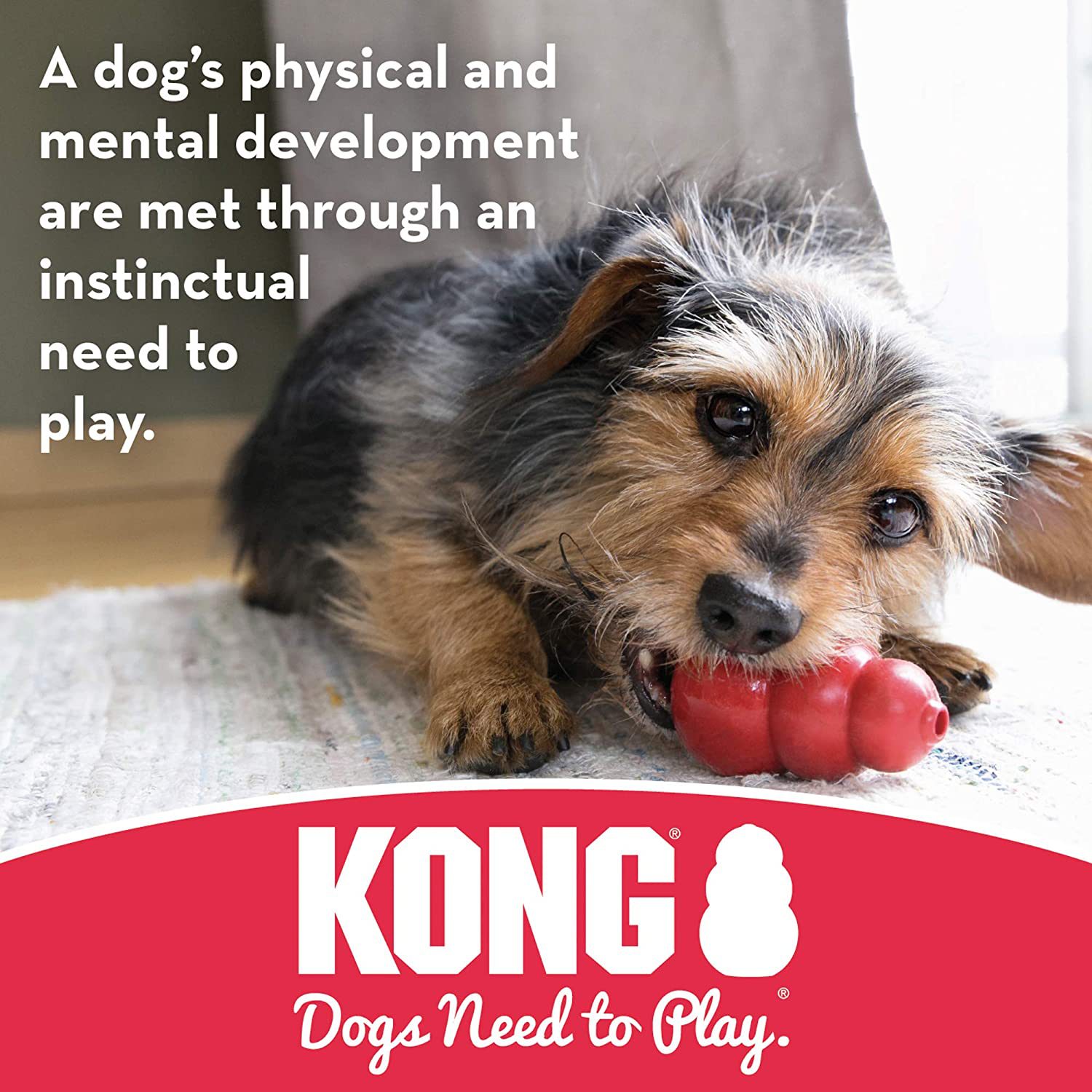 KONG - Puppy Binkie - Soft Teething Rubber, Treat Dispensing Dog Toy Animals & Pet Supplies > Pet Supplies > Dog Supplies > Dog Toys KONG   