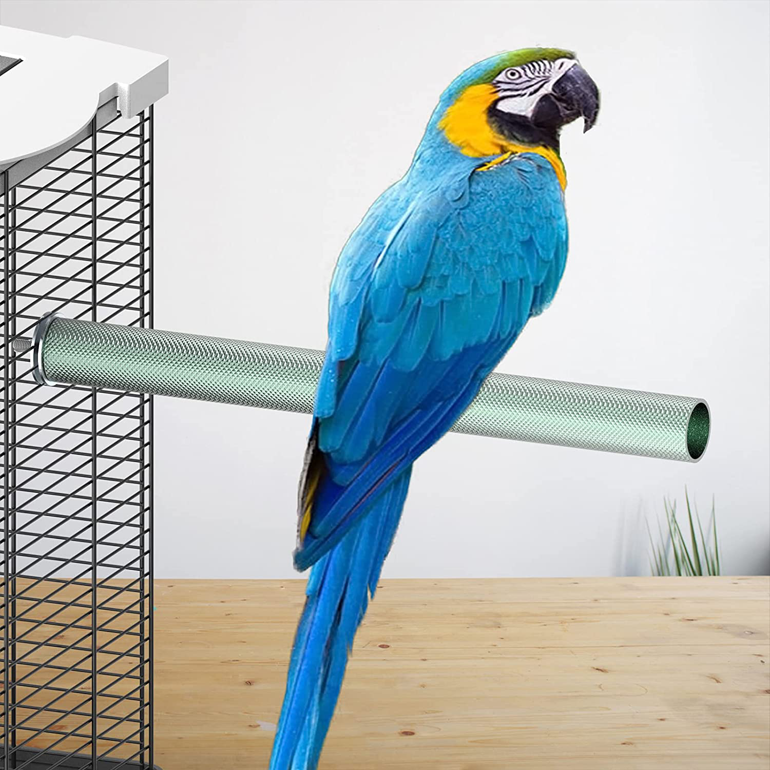 Ogioxam Bird Perch, Metal Perches for Parakeet, Bird Stand for Budgie Cockatiel Macaw and More