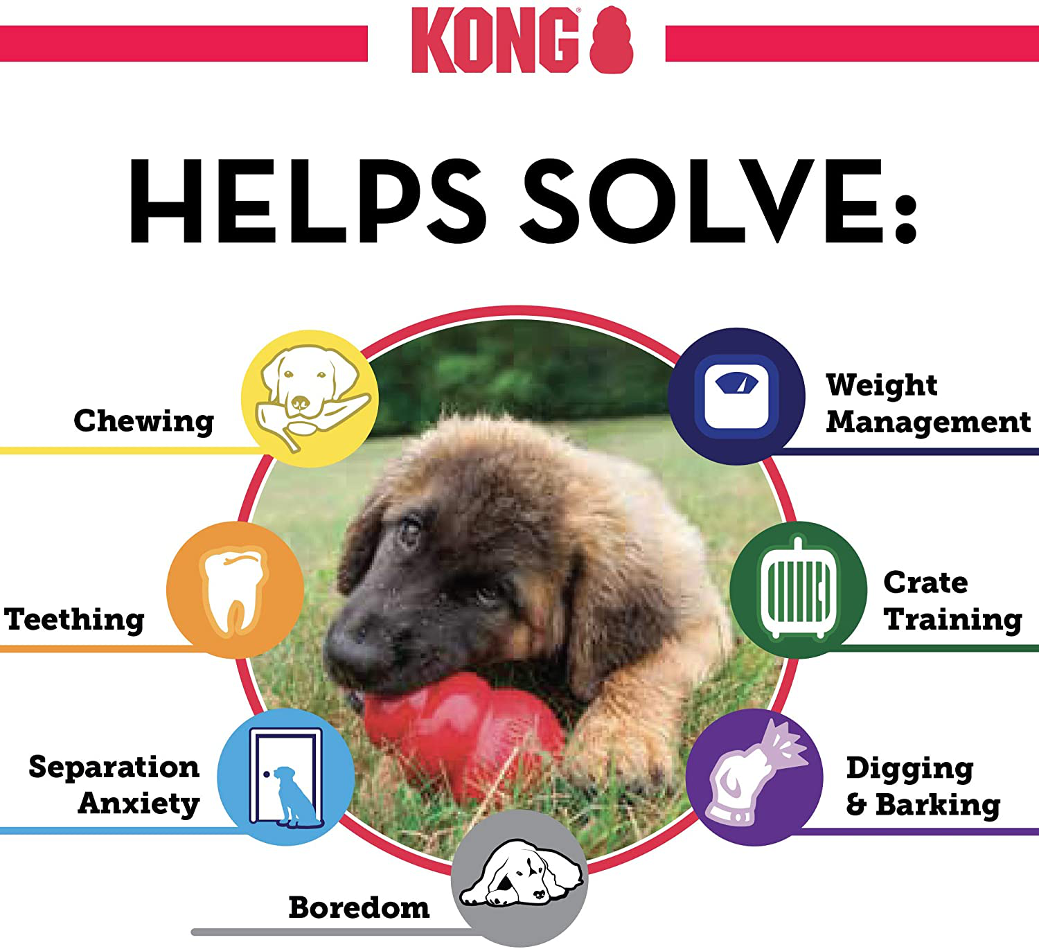 KONG - Classic Dog Toy, Durable Natural Rubber- Fun to Chew, Chase and Fetch - for Small Dogs Animals & Pet Supplies > Pet Supplies > Dog Supplies > Dog Toys KONG   