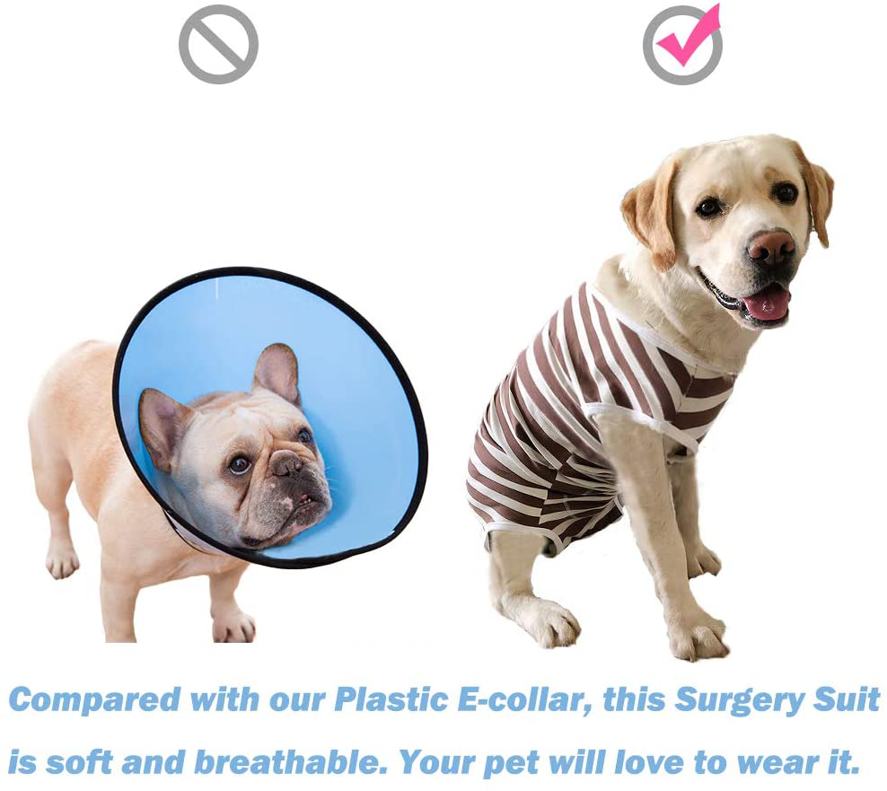 Protective Recovery Suit for Dogs