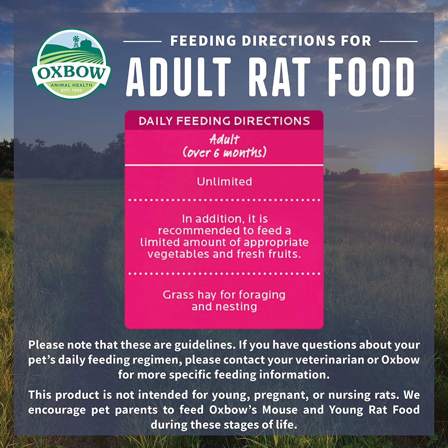 Oxbow Essentials Adult Rat Food - All Natural Adult Rat Food Animals & Pet Supplies > Pet Supplies > Small Animal Supplies > Small Animal Food Oxbow   