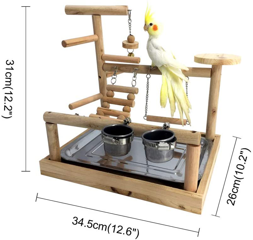 Borangs Parrots Playstand Bird Playground Parrot Perch Gym Stand Playpen Bird Ladders Exercise Playgym with Feeder Cups for Electus Cockatoo Parakeet Conure Cockatiel Cage Accessories Exercise Toy Animals & Pet Supplies > Pet Supplies > Bird Supplies > Bird Cage Accessories Borangs   
