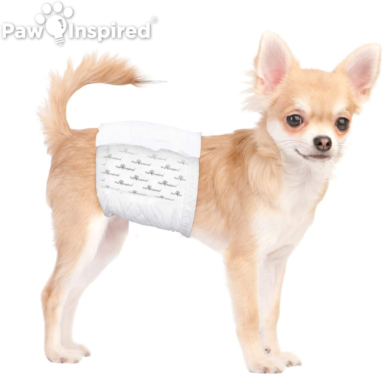Paw Inspired 36Ct Disposable Male Dog Wraps, Belly Band for Dogs | Disposable Dog Diapers Male | Belly Bands for Male Dogs | Excitable Urination, Incontinence, or Male Marking Animals & Pet Supplies > Pet Supplies > Dog Supplies > Dog Diaper Pads & Liners Paw Inspired   