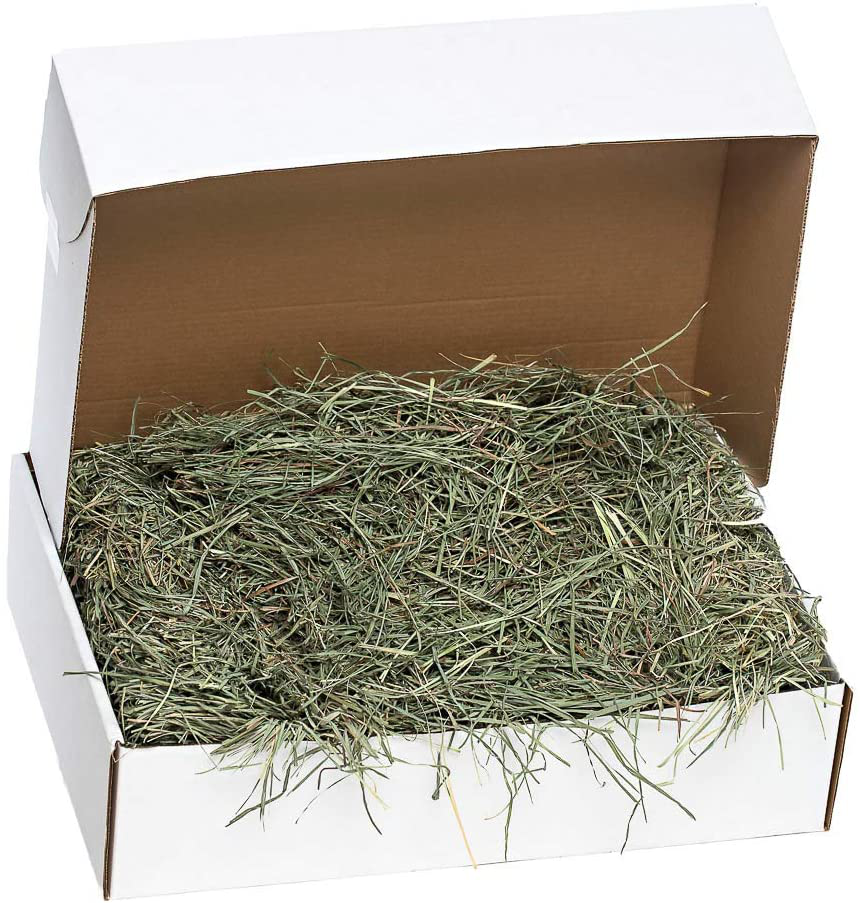 Small Pet Select Orchard Grass Hay Pet Food Animals & Pet Supplies > Pet Supplies > Small Animal Supplies > Small Animal Food Small Pet Select   