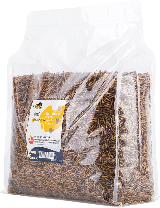 RANZ 5LB & 10LB Non-Gmo Dried Mealworms for Chicken Feed, High Protein Mealworm Treats, Best for Wild Birds, Ducks, Hens, Fish, Reptiles & Amphibian. Animals & Pet Supplies > Pet Supplies > Bird Supplies > Bird Treats RANZ 5 Pound (Pack of 1)  
