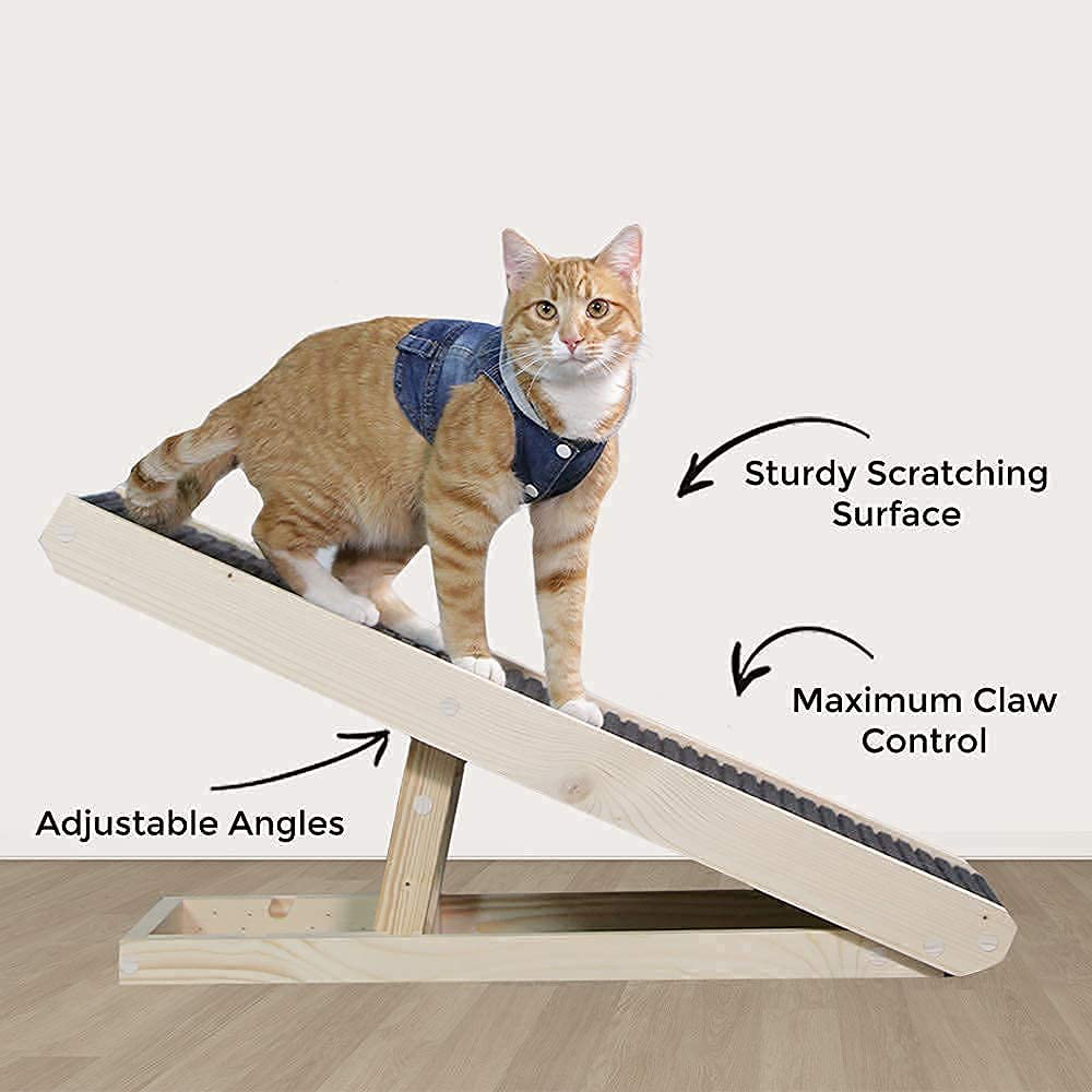 Indoor clearance cat ramp