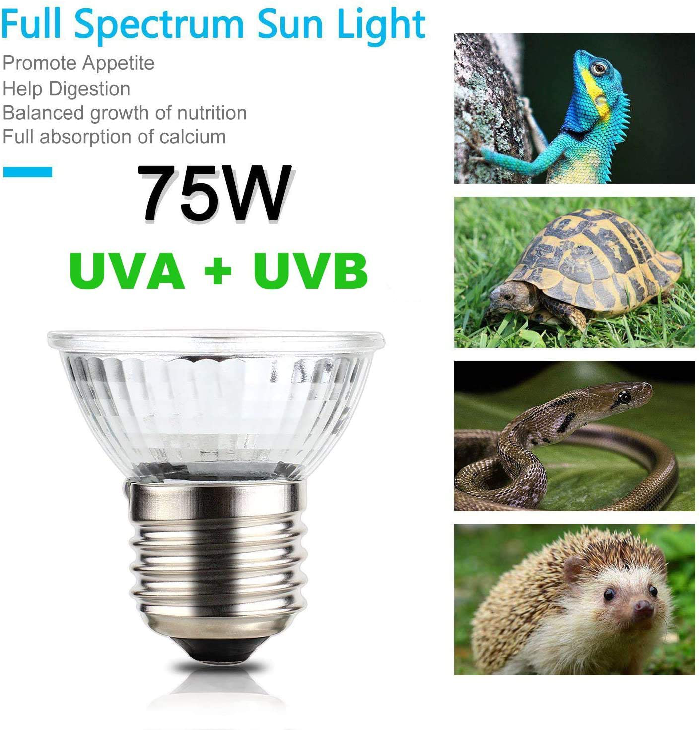 OMAYKEY 3-Pack 75W UVA + UVB Full Spectrum Sun Lamp Sunbathe Heat Lamp/Bulb/Light for Lizard Reptiles and Amphibians Animals & Pet Supplies > Pet Supplies > Reptile & Amphibian Supplies > Reptile & Amphibian Habitat Heating & Lighting OMAYKEY   