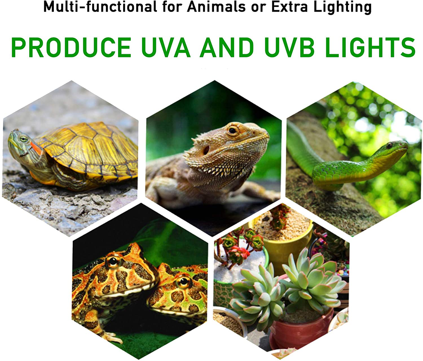 Calpalmy 25W Reptile UVA/UVB Lamp - with Lengthened Adjustable Feature | Adjustable Stand - for Bird Lizard Turtle Snake Aquarium Habitat Heat Lamps & Light Bulbs - 2-Pack