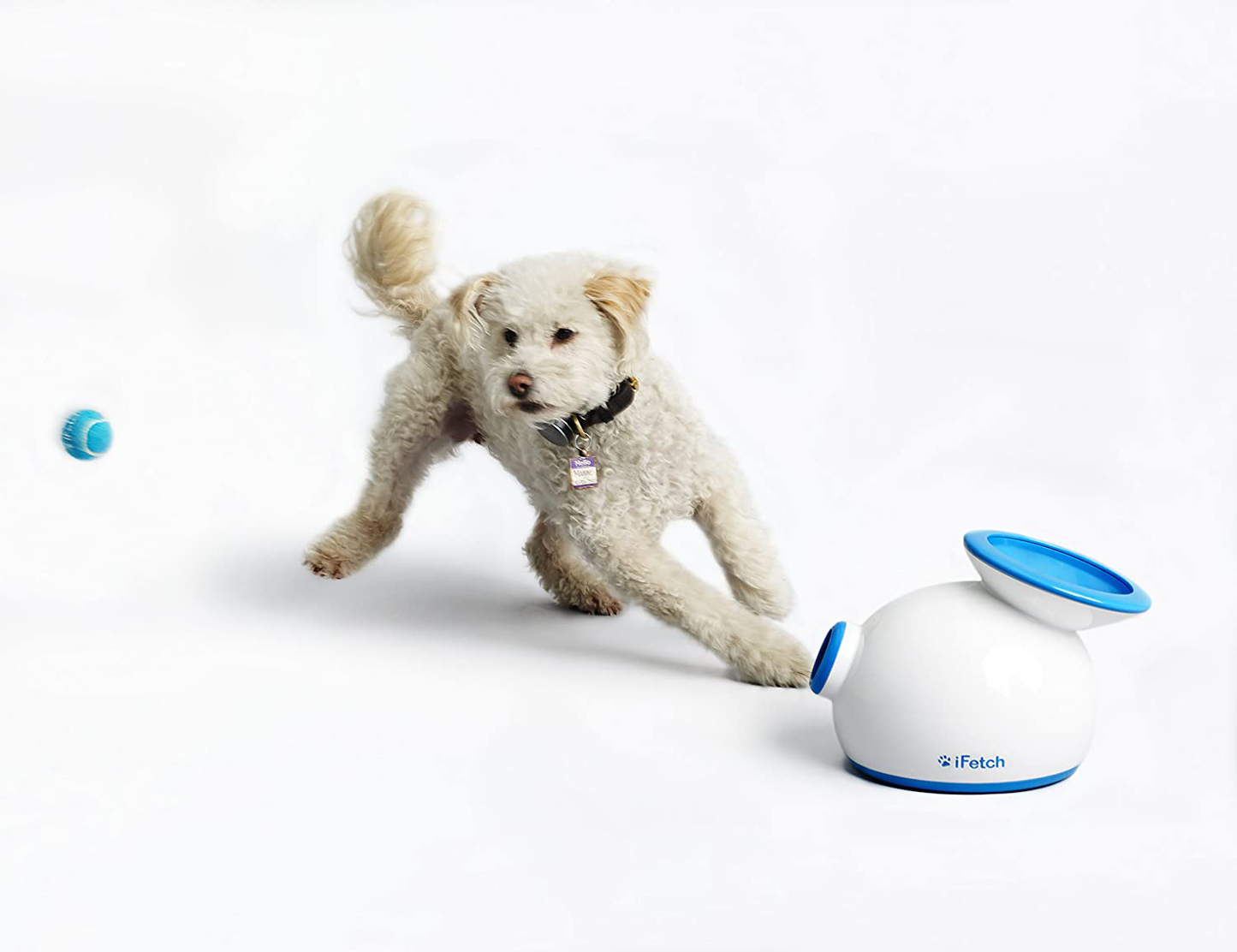 Ifetch automatic ball shop launcher for dogs