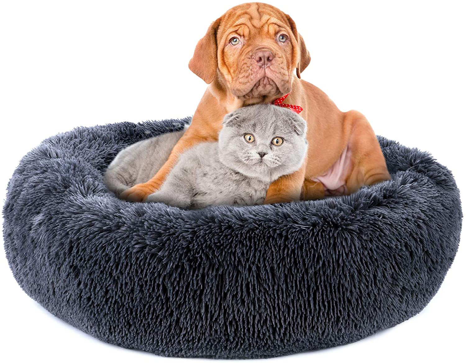 Pjyucien Calming Dog Bed Cat Bed, Large Medium Small Pet Beds, Soft Cozy Donut Cuddler round Plush Beds for Dogs Cats, Waterproof & Anti-Slip Bottom, Machine Washable Animals & Pet Supplies > Pet Supplies > Dog Supplies > Dog Beds PJYuCien Dark grey Small 