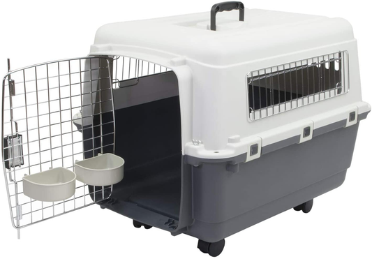 Chesapeake Bay Heavy-Duty Rolling Airline Pet Crate-Medium Animals & Pet Supplies > Pet Supplies > Dog Supplies > Dog Kennels & Runs Chesapeake Bay   