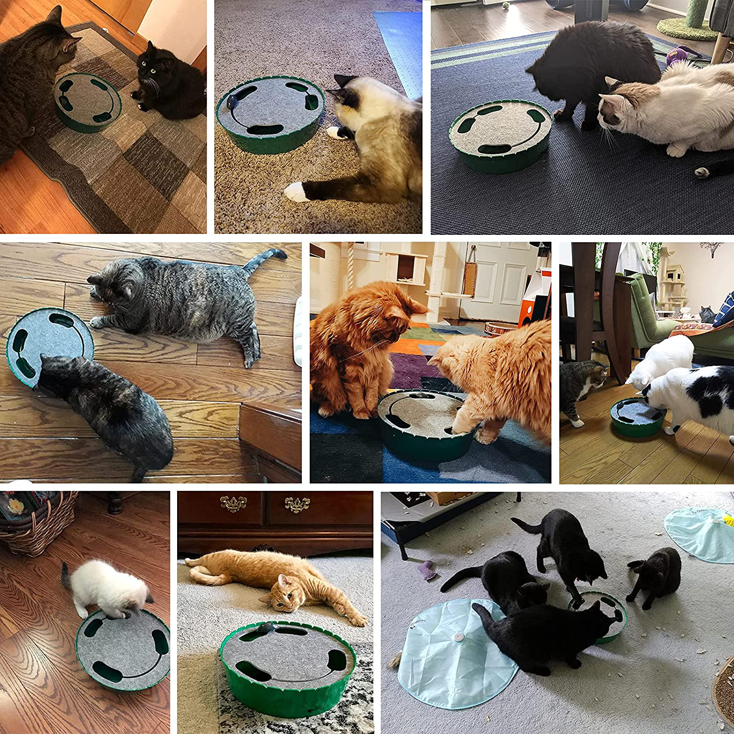 Interactive motion online cat toy