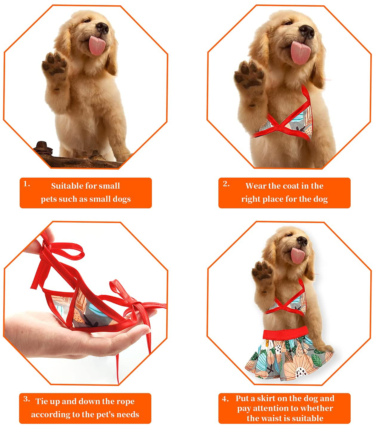 Bird dog bathing clearance suits