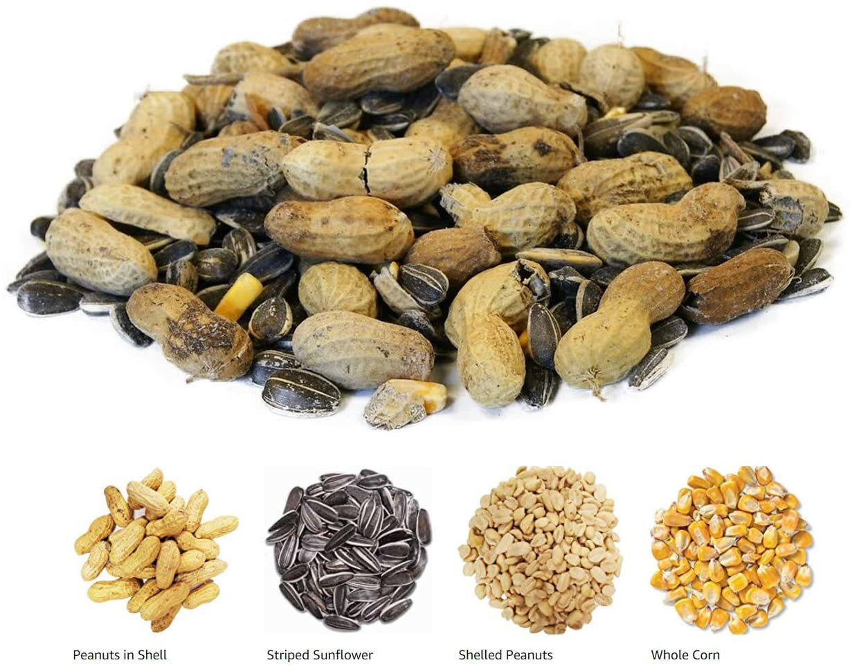 Backyard Seeds Squirrel, Deer Feed & Wildlife Mix 20 Pounds Animals & Pet Supplies > Pet Supplies > Bird Supplies > Bird Food CountryMax   