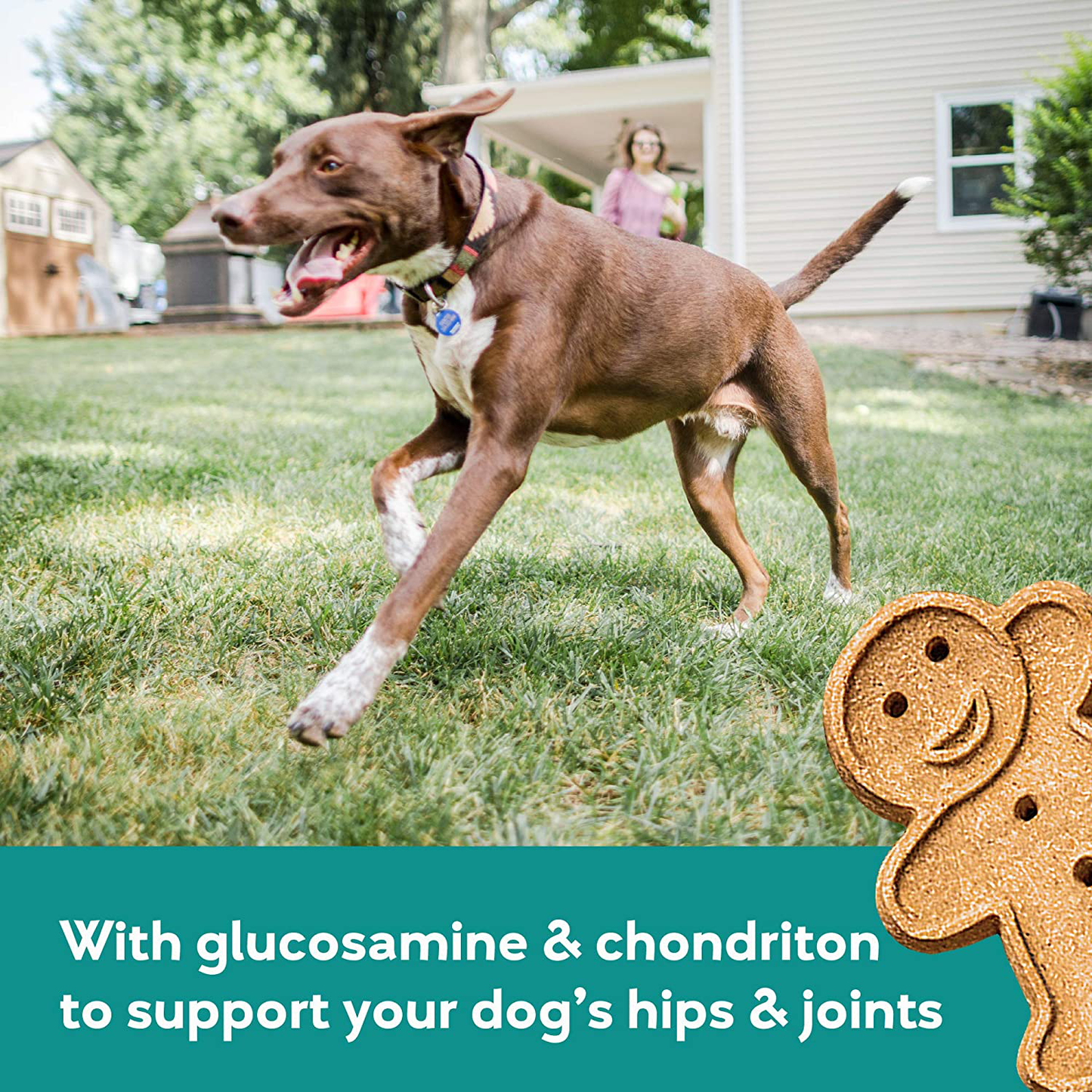Buddy Biscuits, Soft & Chewy Treats for Dogs with Glucosamine & Chondroitin for Healthy Hips Animals & Pet Supplies > Pet Supplies > Dog Supplies > Dog Treats Buddy Biscuits   