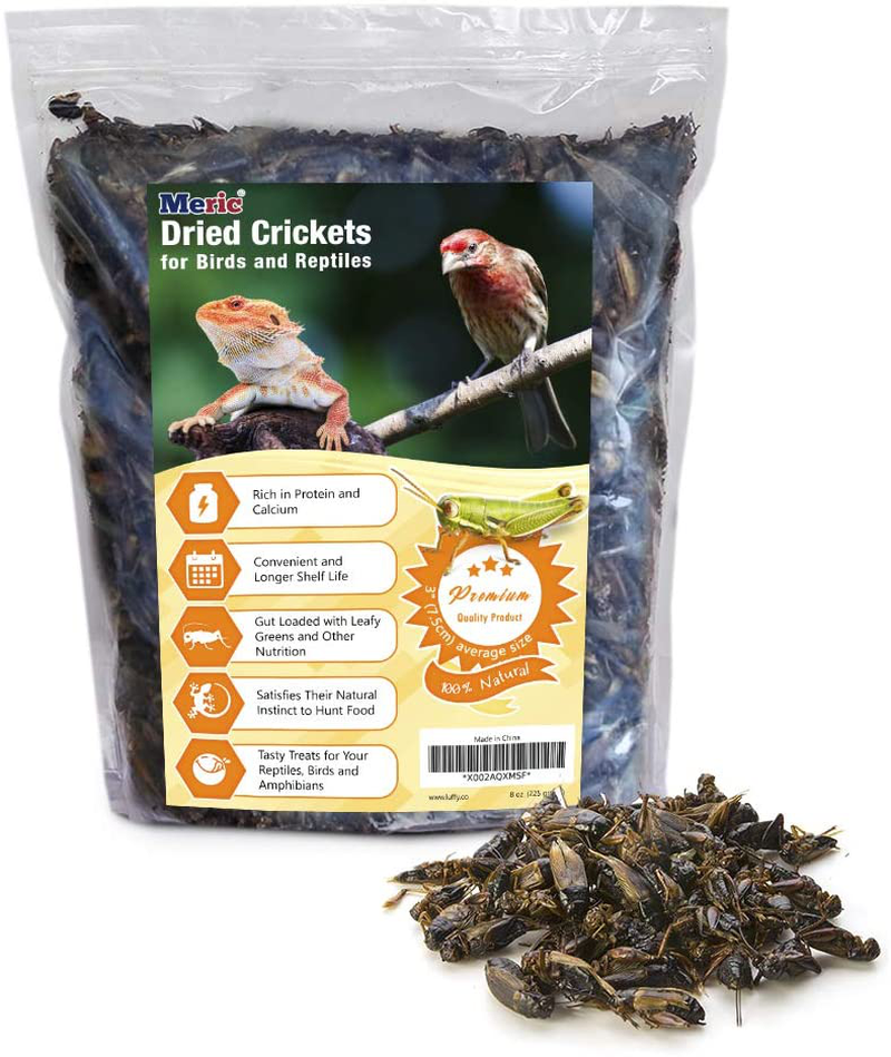 Meric Dried Crickets, 1.5” X 0.5”, Supplementary Food for Chicken, Ducks, Birds and Geese, Loved by Bearded Dragons and Geckos, Energy Treat for Fish and Hedgehogs, 8 Oz Animals & Pet Supplies > Pet Supplies > Reptile & Amphibian Supplies > Reptile & Amphibian Food Meric   