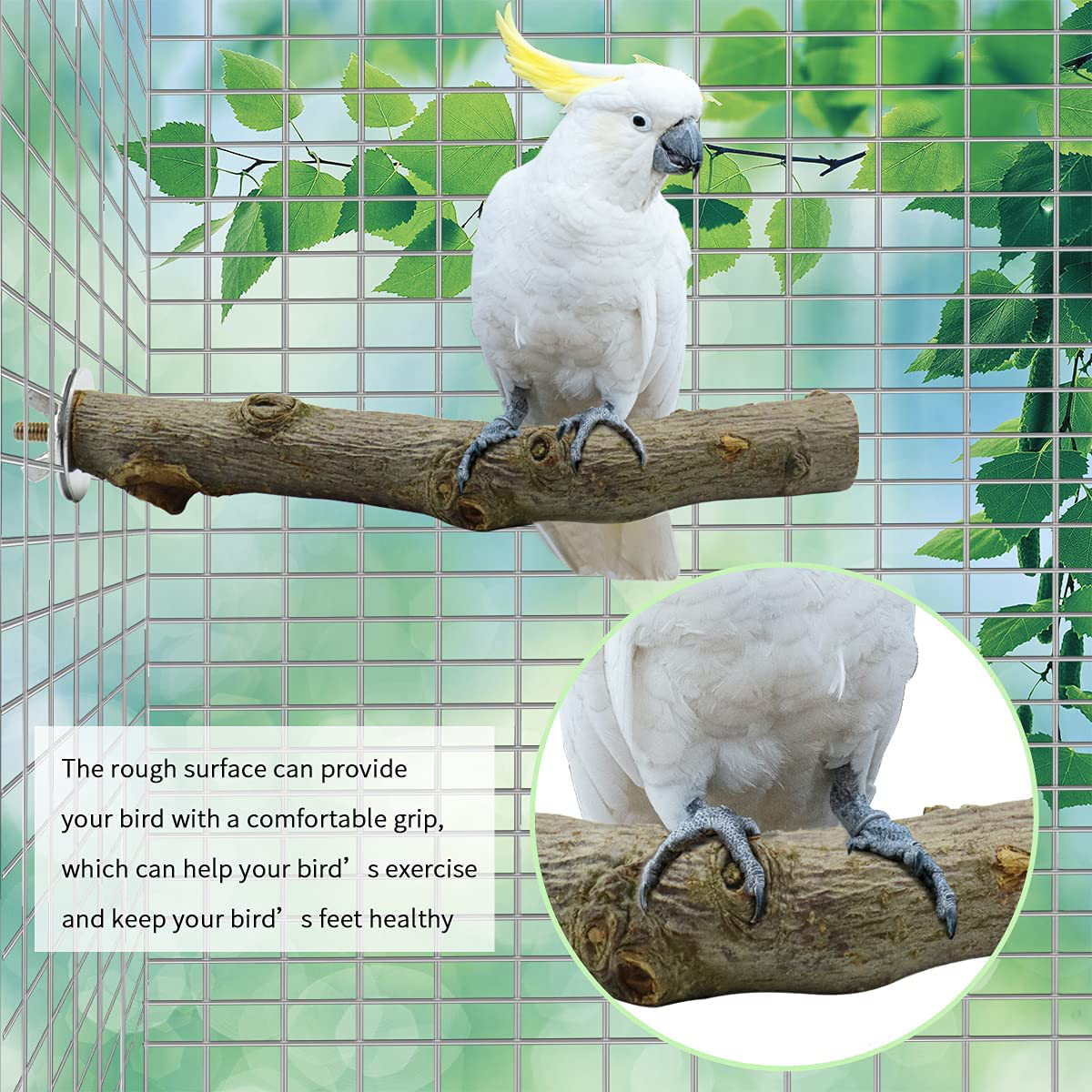 Storystore Bird Perches Natural Wood Parrot Perch for Parakeet Cage Accessories Parakeet Toys for Parrots, Parakeets Cockatiels, Conures, Macaws, Love Birds, Finches Animals & Pet Supplies > Pet Supplies > Bird Supplies > Bird Cage Accessories Storystore   