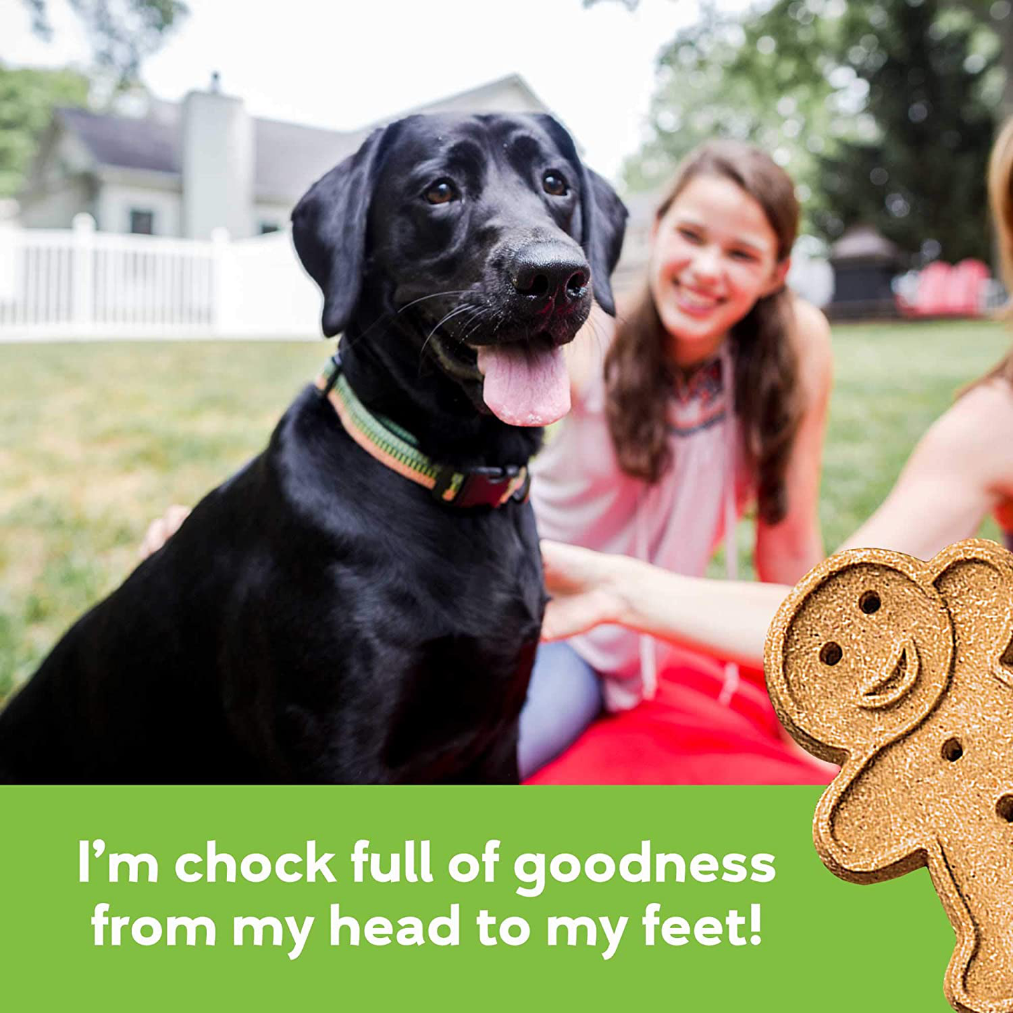 Buddy Biscuits Grain Free Dog Treats, Made in the USA Only, Healthy Ingredients No Wheat Corn or Soy Animals & Pet Supplies > Pet Supplies > Dog Supplies > Dog Treats Buddy Biscuits   