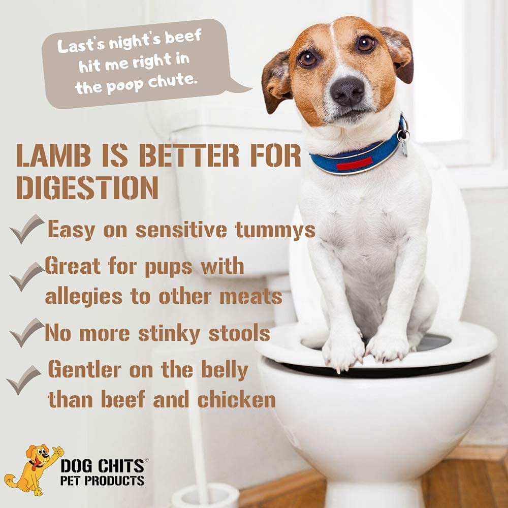 Dog Chits Lamb, Bison or Veal Lung Fillets for Dogs - Dog and Puppy Chews, Huge Bag, Made in USA, All-Natural Treats, Crispy Not Crumbly, Large and Small Dogs, Flavor Dogs Love Animals & Pet Supplies > Pet Supplies > Small Animal Supplies > Small Animal Treats Q2 Distribution   