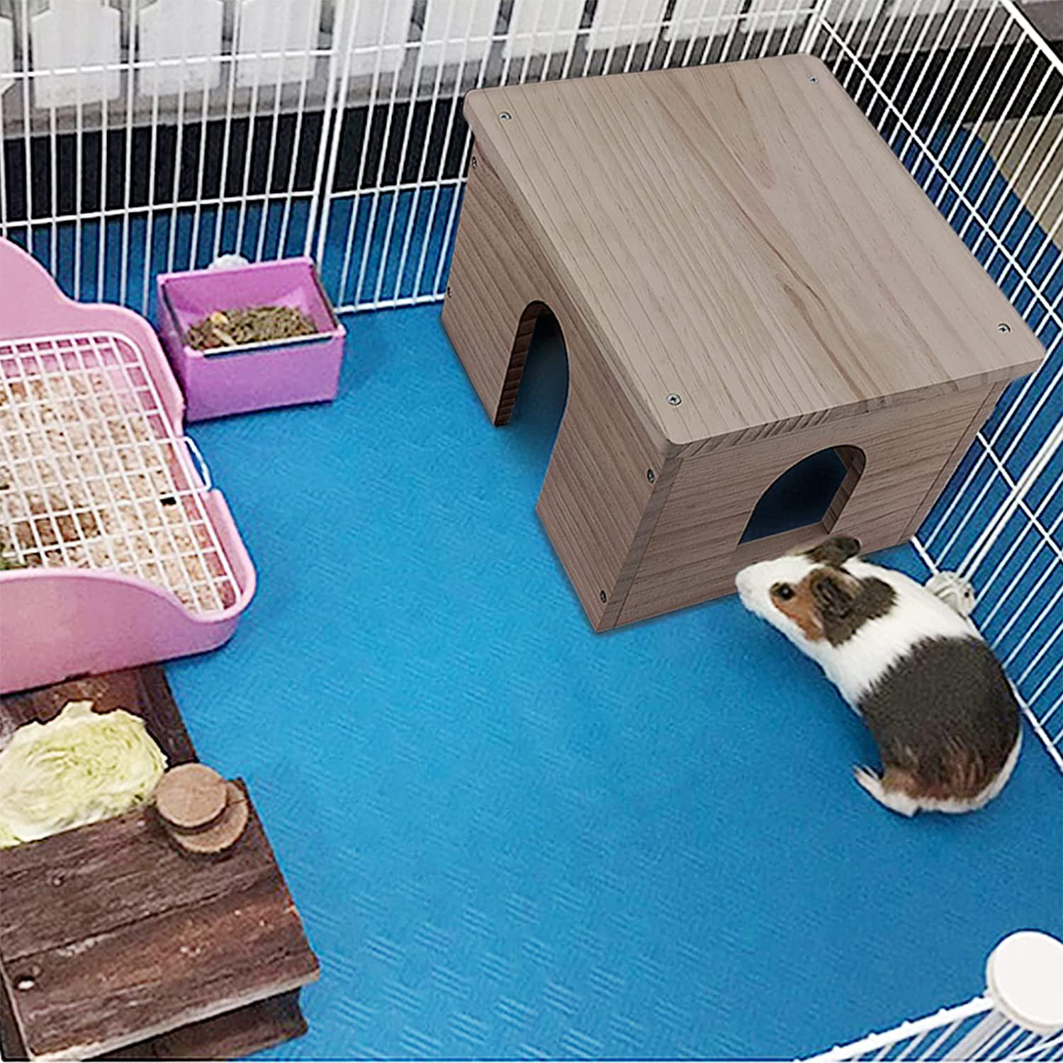 Kennels for guinea deals pigs