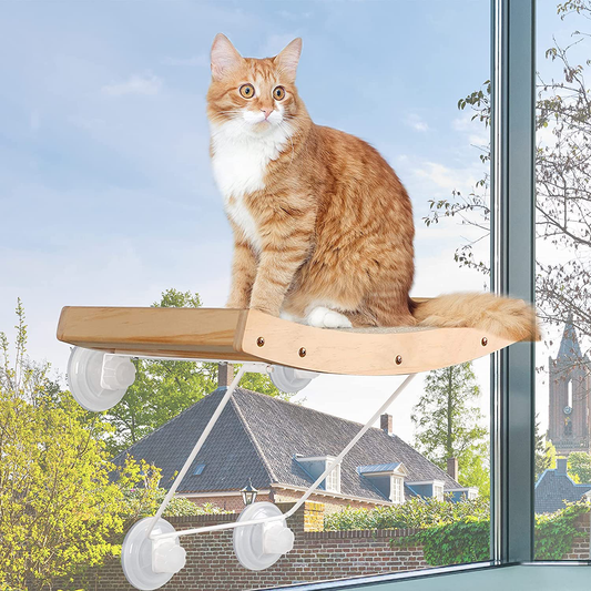 Cat Perch, Angela&Alex Cat Window Hammock Cat Seat with Strong Heavy Screw Suctions Cups Cat Bed Cat Seat with Natural Sisal Iron Bracket Hold up to 30 Lbs 2021 New Versions Animals & Pet Supplies > Pet Supplies > Cat Supplies > Cat Furniture Angela&Alex   