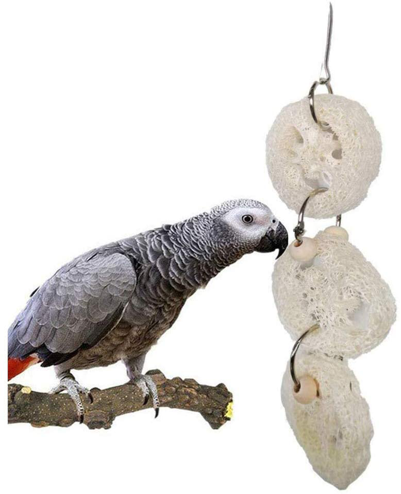 N / a 7/8 Pcs Bird Toys, Parrot Natural Wood Hanging Swing Standing Climbing Chewing Perch Hammock Rope Ladder Bell Bird Cage Toys for Parrots, Love Birds, Parakeet, Mynah, Conure, Cockatiel Animals & Pet Supplies > Pet Supplies > Bird Supplies > Bird Ladders & Perches N / A   