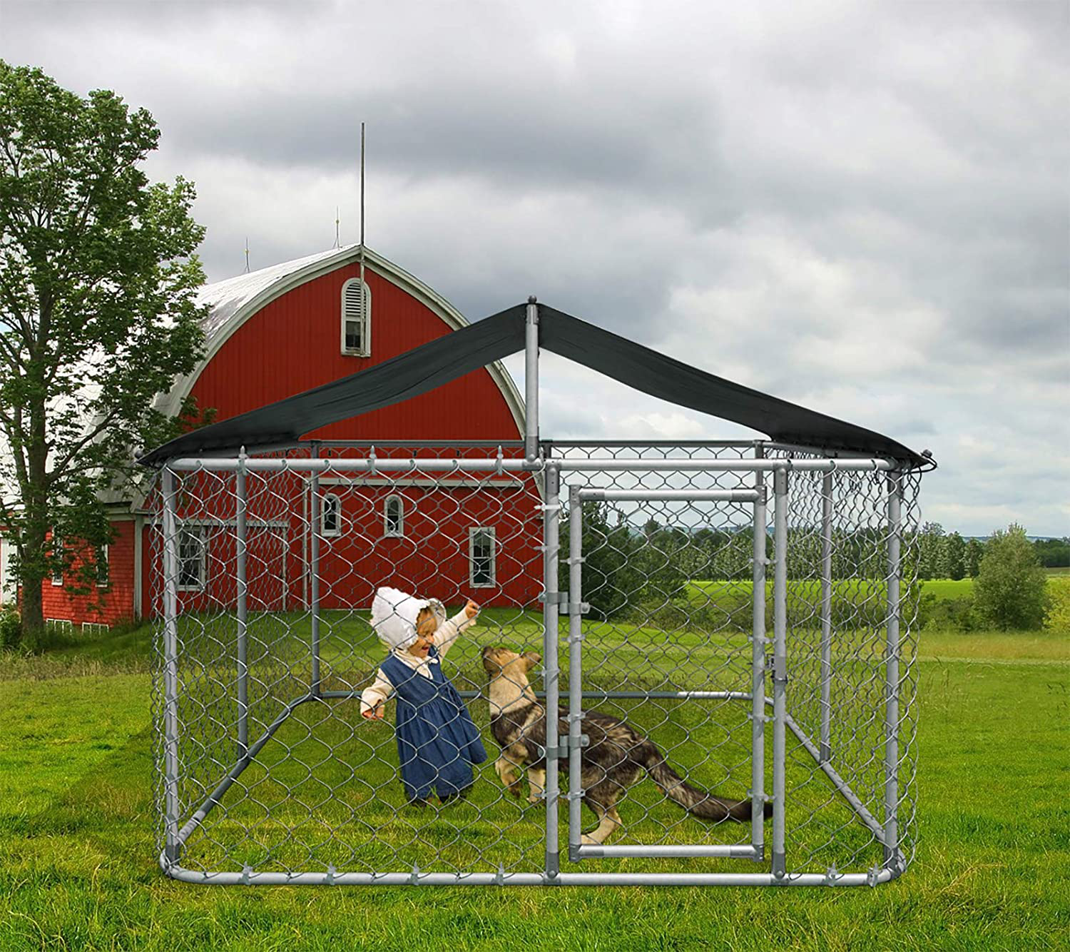 Dog clearance kennel mesh