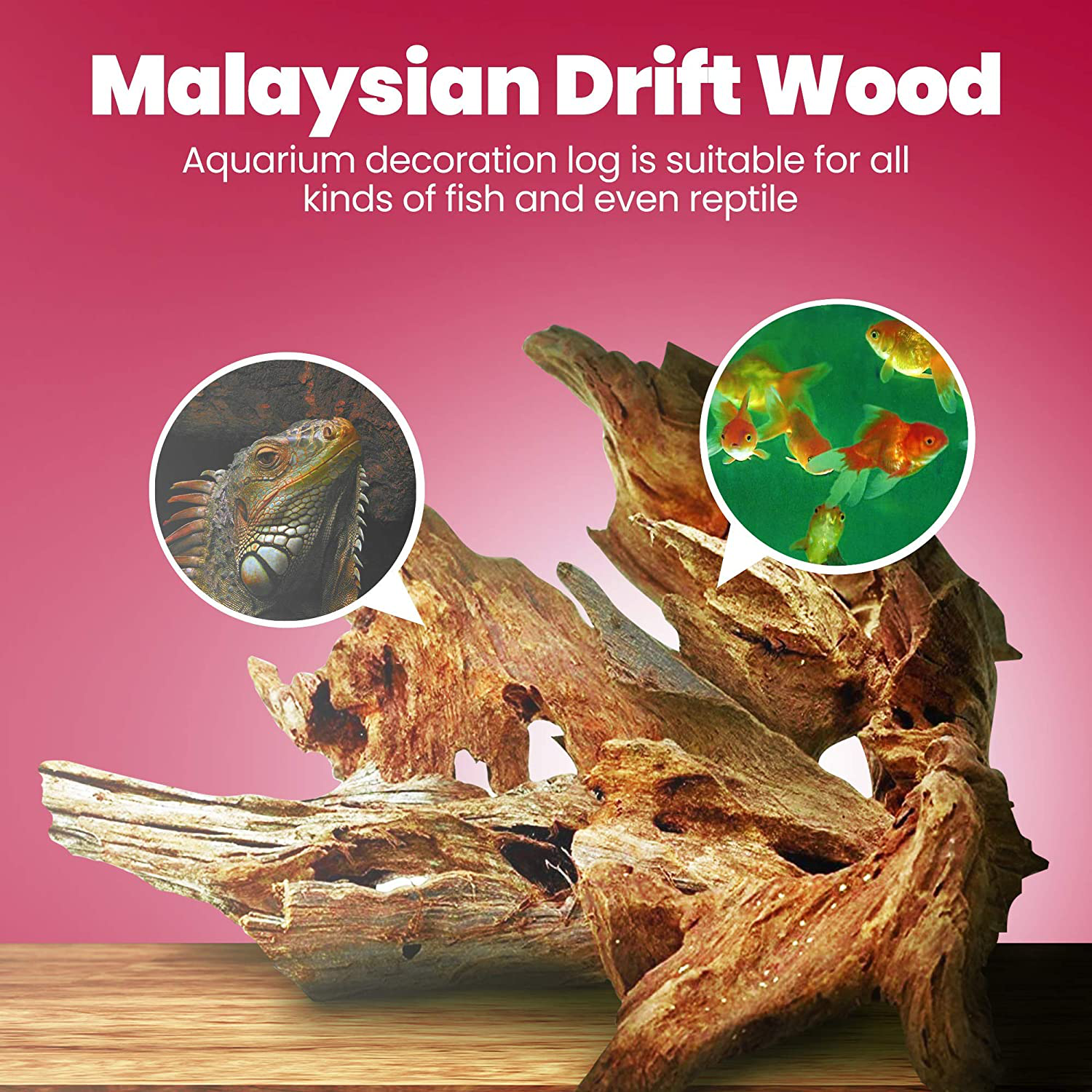 Dr. Moss Aquarium Small Malaysian Driftwood Luxurious Set for Fish Tank Decor, Real Wood Bogwood 5"-7" (2 Pieces) Animals & Pet Supplies > Pet Supplies > Fish Supplies > Aquarium Decor Dr. Moss   