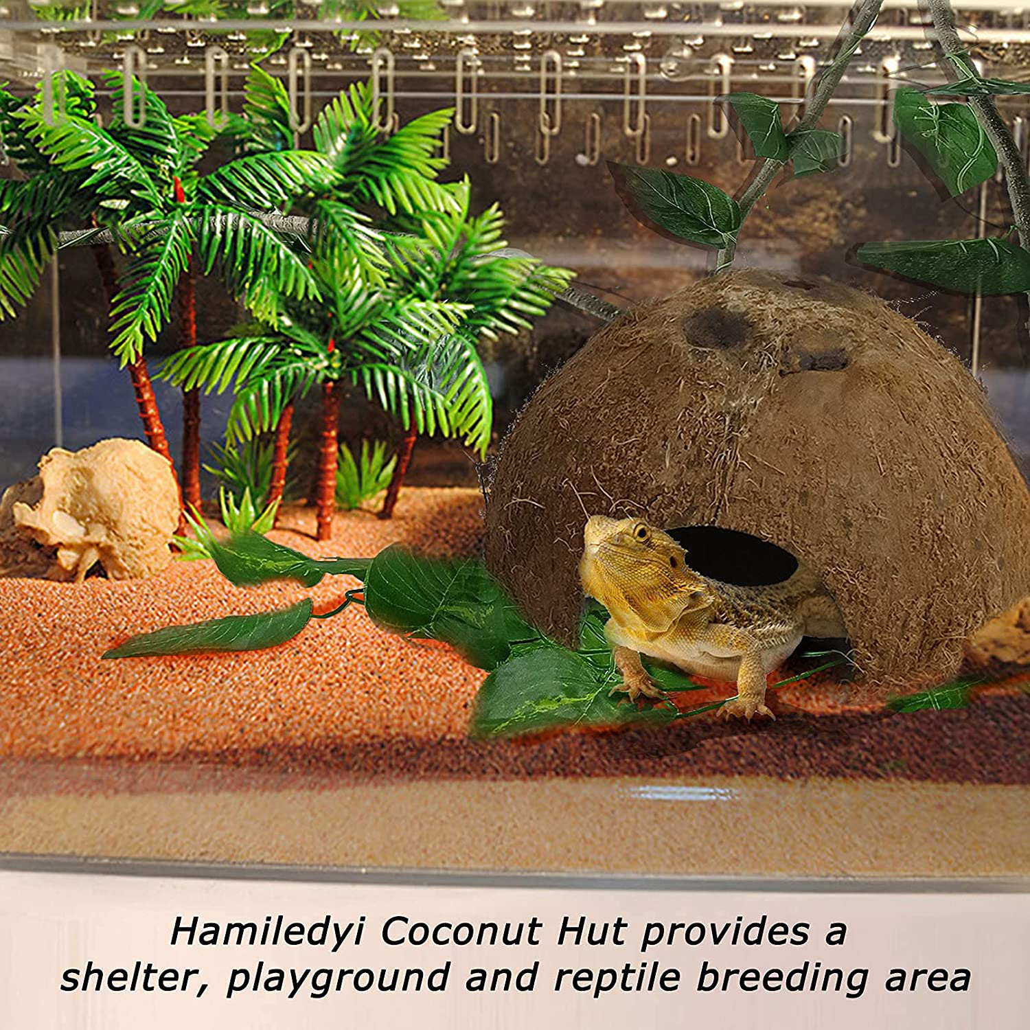 Hamiledyi Reptile Hideouts Natural Coconut Shells Hut Small Animal Hide Cave Hermit Crab Climbing Toys Lizard Habitat Decor Plant Leaves Decoration for Gecko Spider Snake Chameleon (4Pcs) Animals & Pet Supplies > Pet Supplies > Small Animal Supplies > Small Animal Habitat Accessories Hamiledyi   