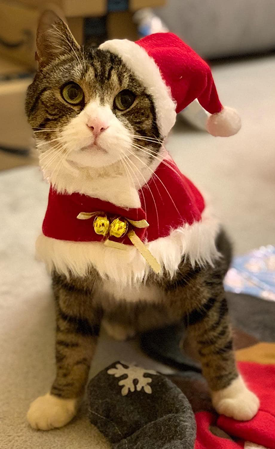 Cat xmas outfits online